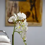 Maison d'hôtes Doanesia 3*