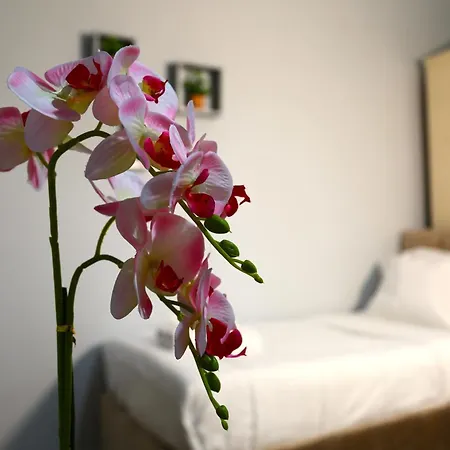 Guest house Doanesia *