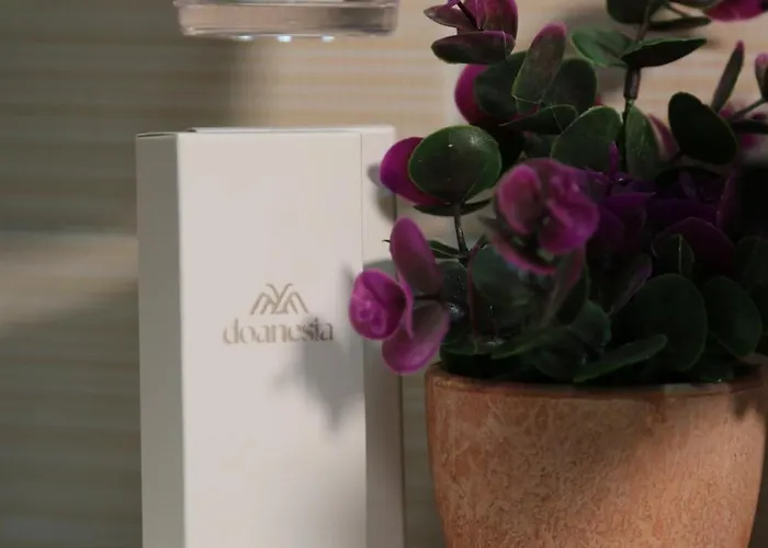 Doanesia Guest house Mezez
